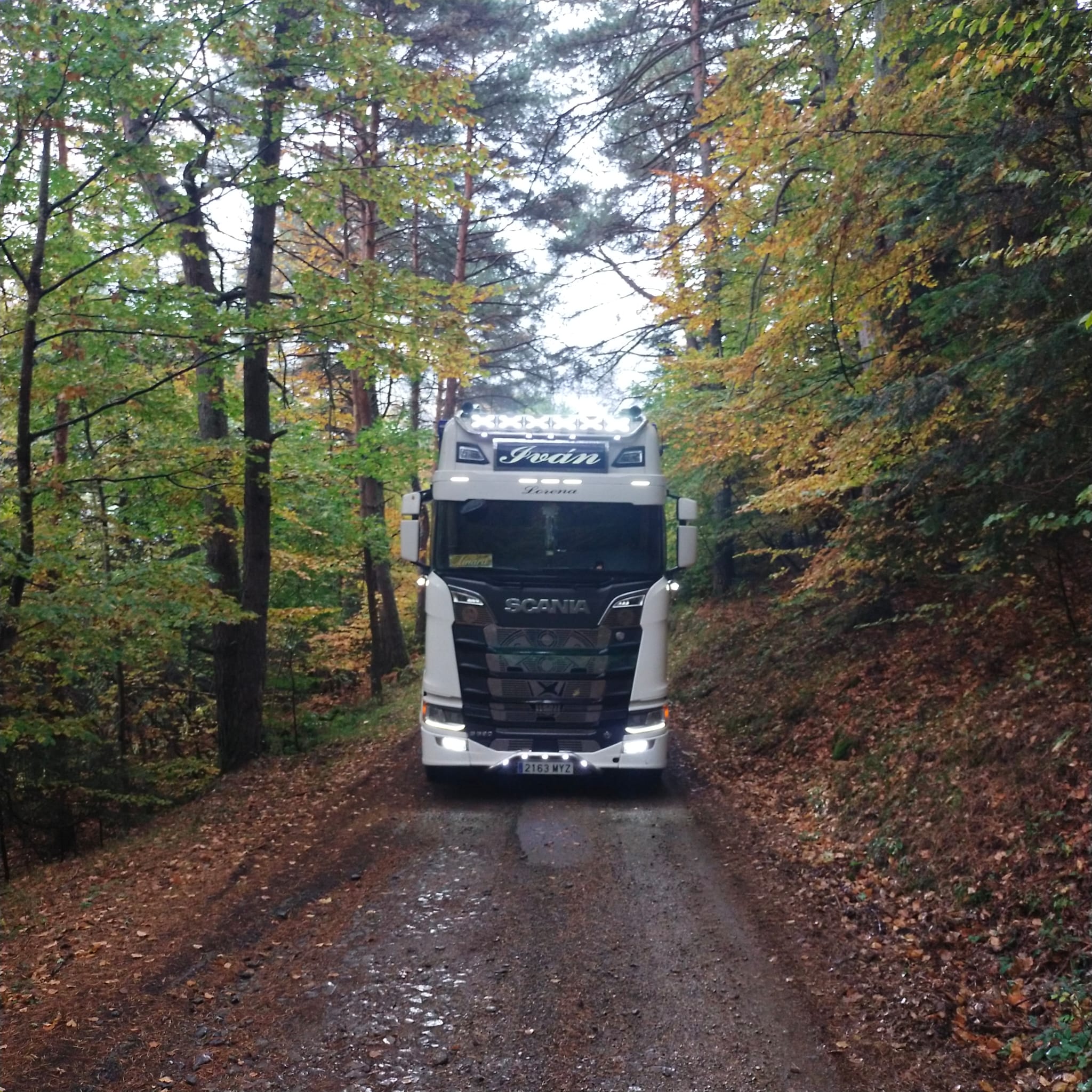 Camión de transporte en camino rural